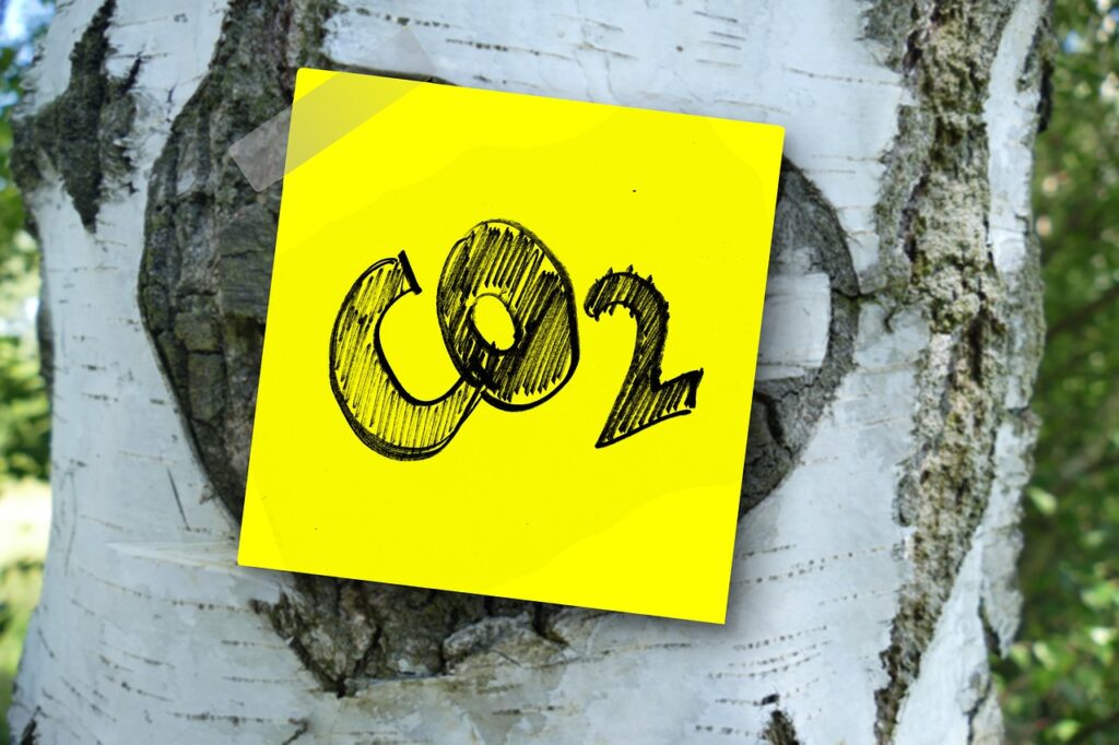 (Carbon Removal Certification Framework, CRCF)
